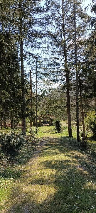 Casale La Pineta Lägenhet Mombaroccio Exteriör bild