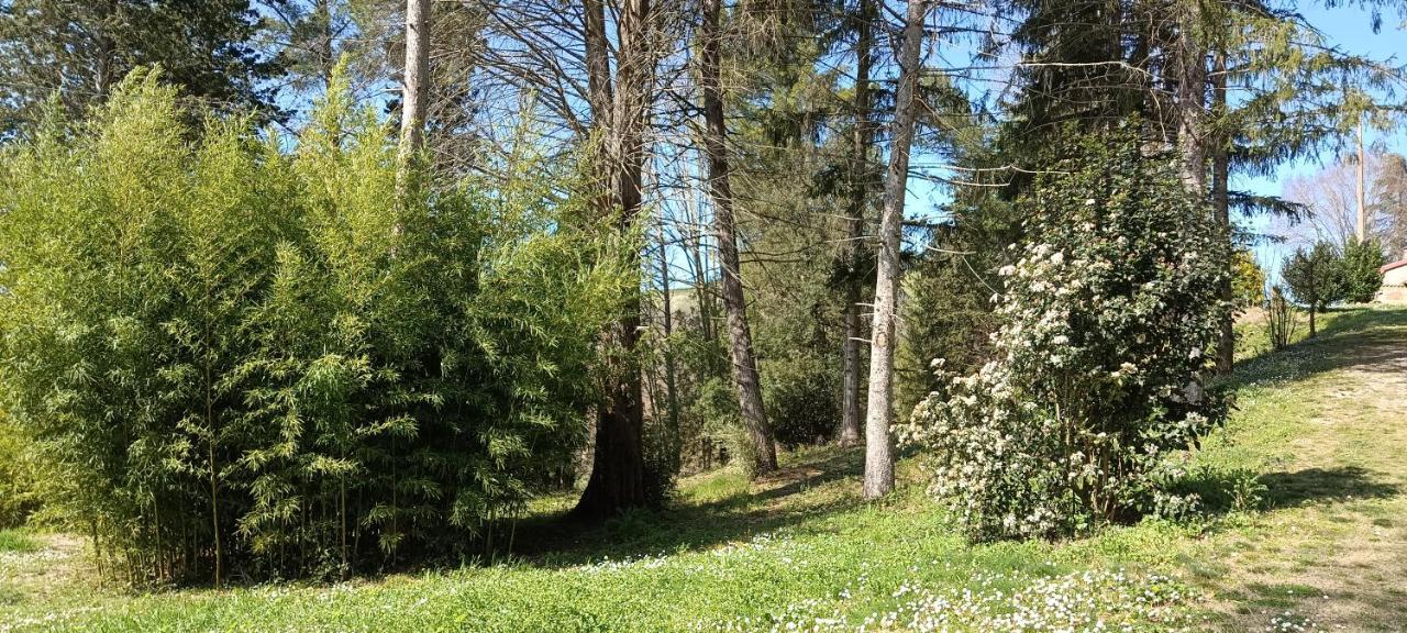Casale La Pineta Lägenhet Mombaroccio Exteriör bild