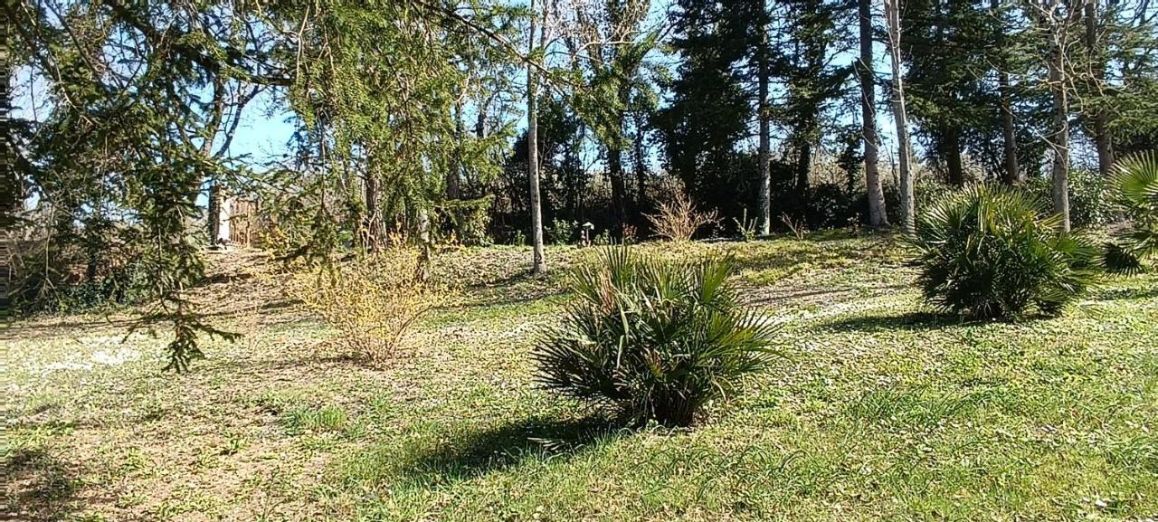 Casale La Pineta Lägenhet Mombaroccio Exteriör bild