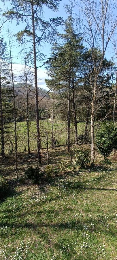 Casale La Pineta Lägenhet Mombaroccio Exteriör bild