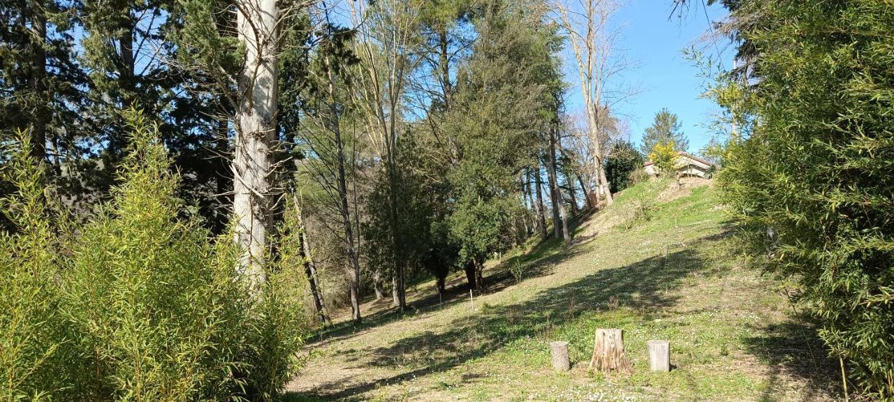 Casale La Pineta Lägenhet Mombaroccio Exteriör bild
